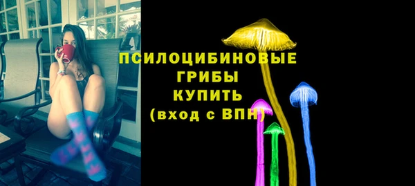 гашик Анжеро-Судженск