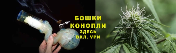 ПСИЛОЦИБИНОВЫЕ ГРИБЫ Михайловск