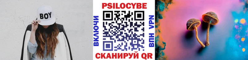 Псилоцибиновые грибы Magic Shrooms  Махачкала 