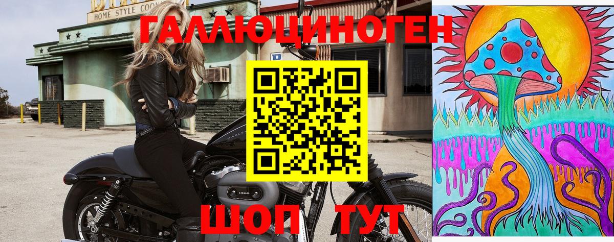 Псилоцибиновые грибы мицелий  Вход с VPN  Махачкала 