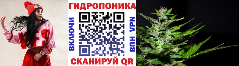 цены наркотик Махачкала Бошки марихуана VHQ
